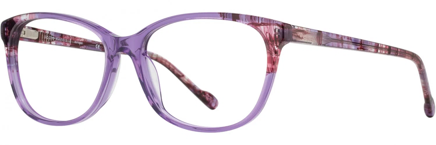 Scott Harris SH870 Eyeglasses - view 6